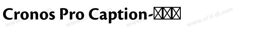 Cronos Pro Caption字体转换